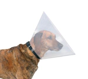 Hundkrage, XXS-XS: 18-21 cm/11cm, grå