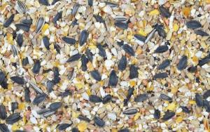 Vildfågelblandning Ca 2kg