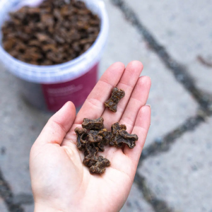 Venison Training Snack 1kg