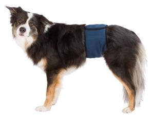 Hanhundsskydd, S-M:37-45cm, mörkblå