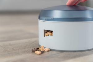 Dog Activity Buzzer, Nivå 1