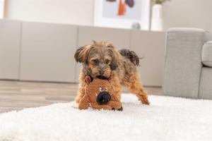 Trixie Monster, plysch, återvunnen, 25 cm