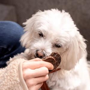 Meaty Burgers Duck 100g