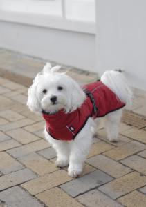 Minot Hundtäcke S:33cm, Röd