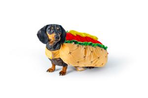 Maskeradkostym Hotdog M