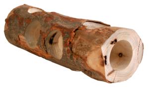 NL Gnagartunnel trä 30cm