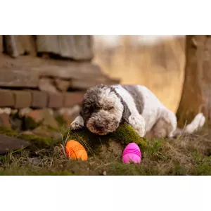 Fiboo Fijoo Aktiveringsleksak Grön