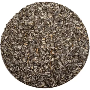 Bello Solrosfrö Strimmigt 4kg Hink