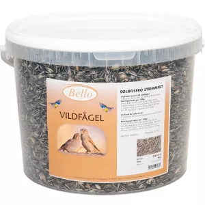 Bello Solrosfrö Strimmigt 4kg Hink