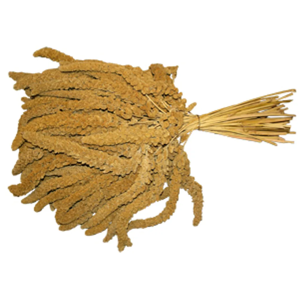 Hirskolv Franska XL Kilopris