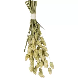 JR Farm Kanariefågelfrö