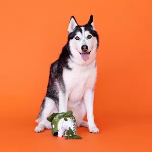 Fringe Here Fishy Fishy