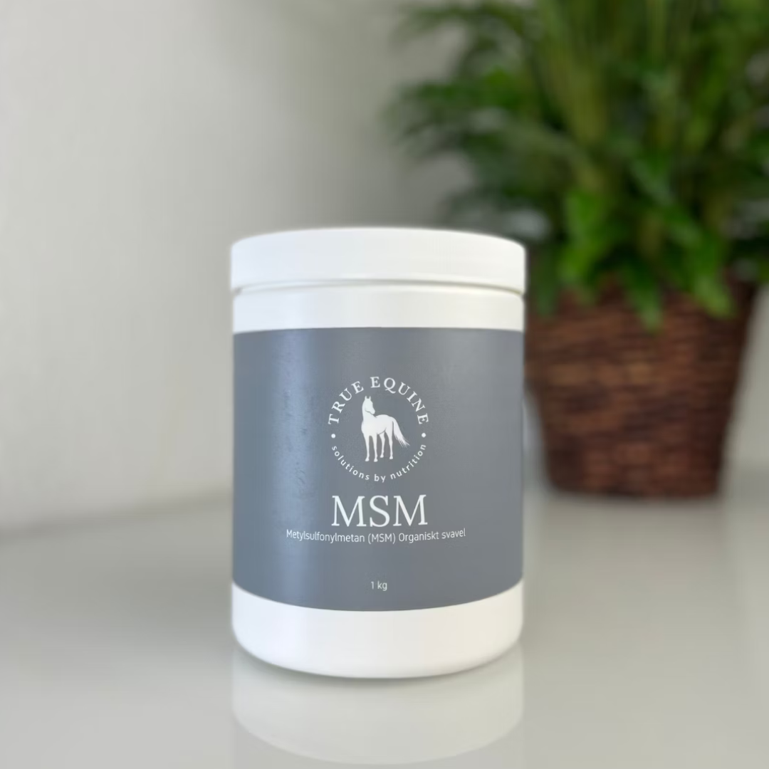 Eqvital MSM 5kg