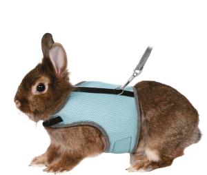 Softsele+Koppel, Dvärgkanin, 25-32cm, 1,2m