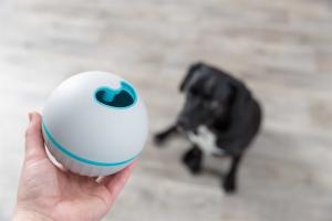 Snacksboll, Plast, 11cm, Grå