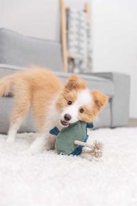 Fisk, Läderleksak/Rep 28cm