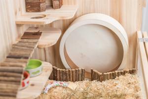 Hamsterhjul 22 cm Trä