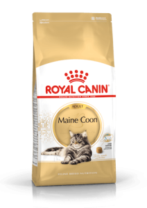 RC FBN Maine Coon 2kg