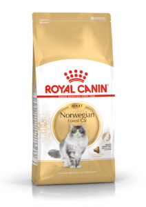 RC RF Norwegian Forest Cat 10 kg