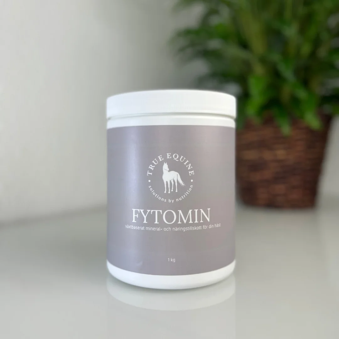 Eqvital Fytomin 12kg