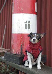 Minot Hundtäcke L:55cm, Röd