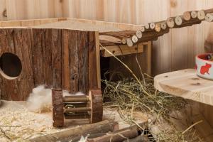 Trixie Hamsterstege böjbar 27,5x7 cm