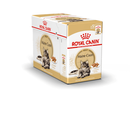 RC FBN Maine Coon 12x85g