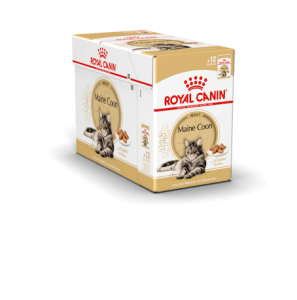 RC FBN Maine Coon 12x85g