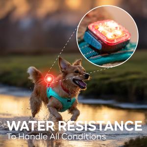 Meolinq LED-Lampa Light 01