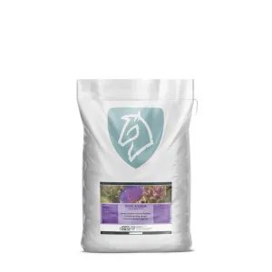 Nordic Artiskok 500g
