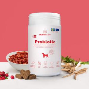 Buddycare Probiotica 150g
