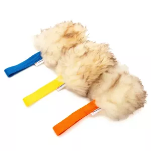 Träningsleksak Trainer Pocket, Blå