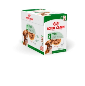 RC Mini Adult 12x85g