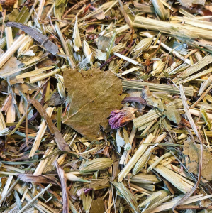 Bunny Nature Botanicals Maxi - Mynta och Kamomill 400g