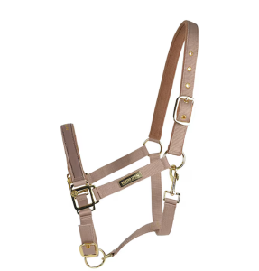 Grimma Taupe Full