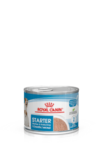 RC Starter Mousse 195g