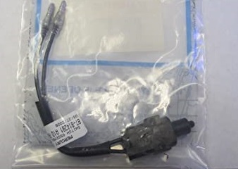 Neutral-switch Mercury