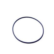 O-ring Mercury