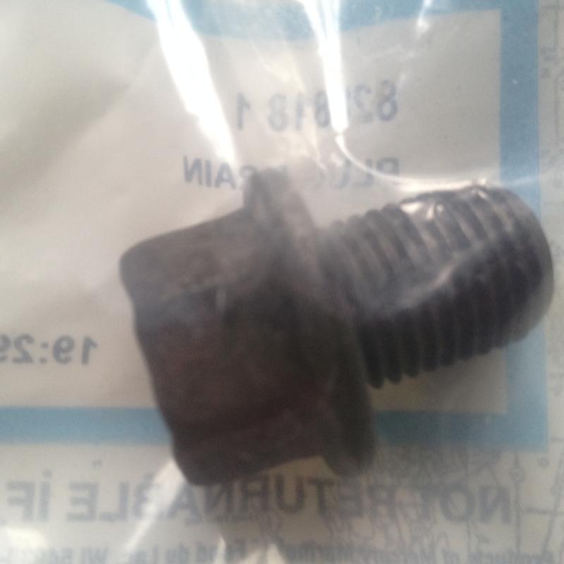 Oljedräneringsplugg Mercury