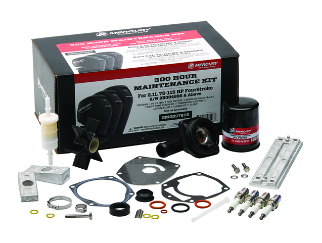 Motorservicesats 300 tim Mercury F 80 - F 115