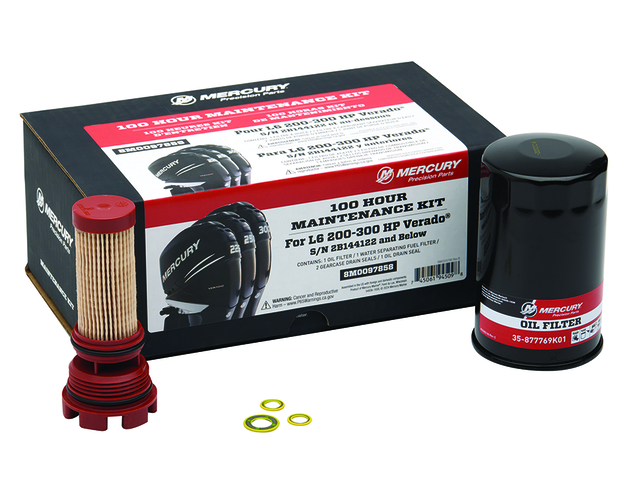 Motorservicesats 100 tim Mercury Verado L6