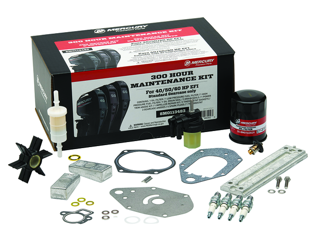 Motorservicesats 300 tim Mercury F 40 EFI - F 60 EFI