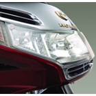 Lamp guard extended utgått