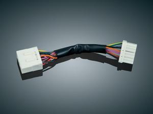 Passing Lamp Harness