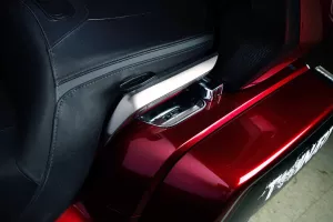 PASSENGER SWITCH ACCENT