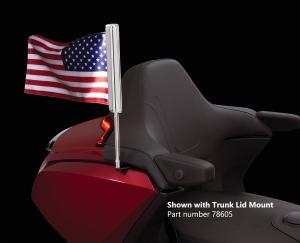 Lighted flag kit