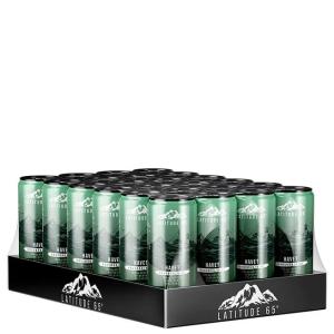 Latitude 65 Havet Krusbär/Kiwi 24x330ml