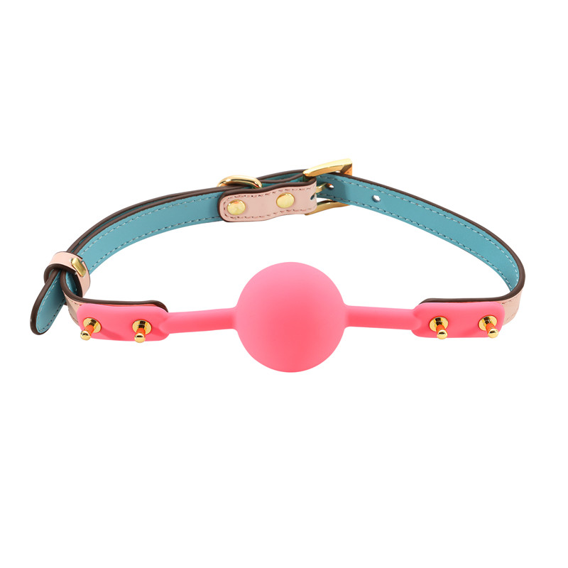 Strap Ball Gag PINK