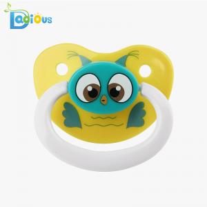 Anatomisk Napp uggla