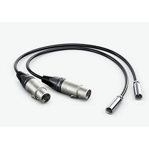 Mini XLR Adapter Cables